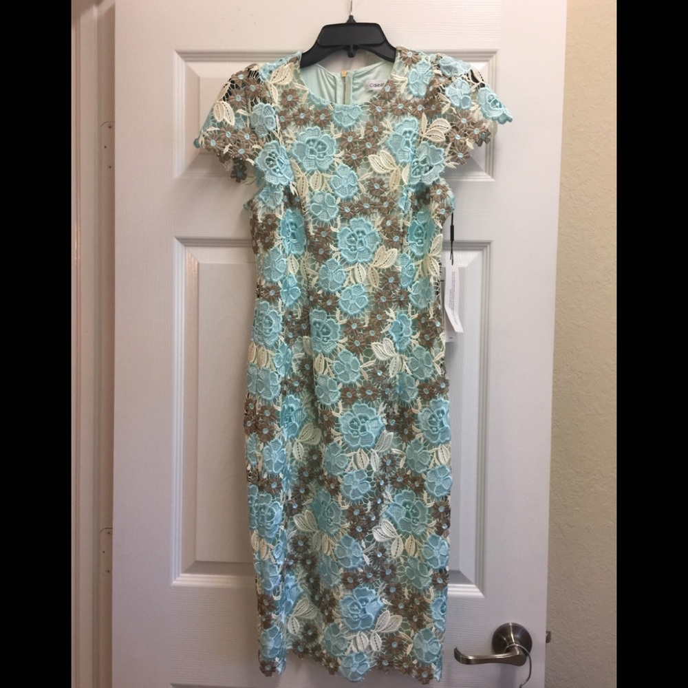 Calvin Klein Brand New Cap Sleeve Lace Dress